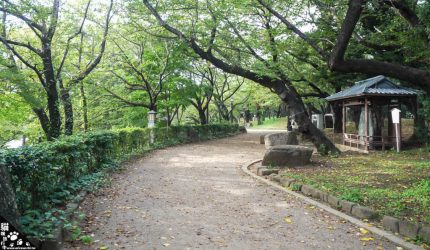 【東京】飛鳥山公園~春天賞櫻、初夏紫陽花、秋天有楓紅