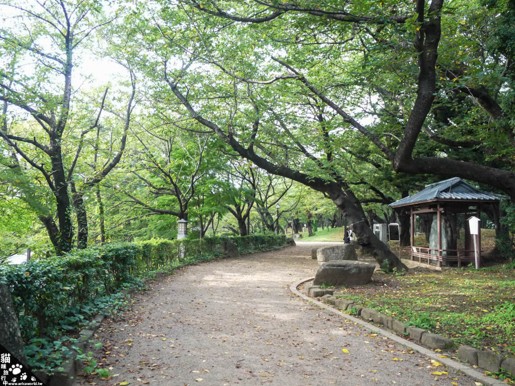 【東京】飛鳥山公園~春天賞櫻、初夏紫陽花、秋天有楓紅