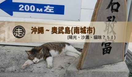 【沖繩】跳島(02)奧武島．陽光、沙灘、貓咪？！！