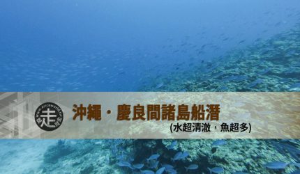 受保護的內容: 【沖繩】慶良間諸島船潛