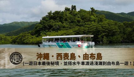 【沖繩】跳島(06)走跳西表島、布由島