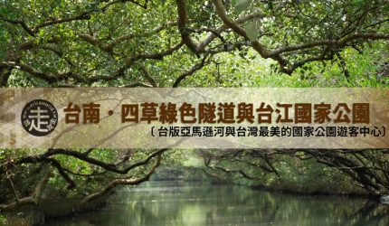 【台南】四草綠色隧道與台江國家公園