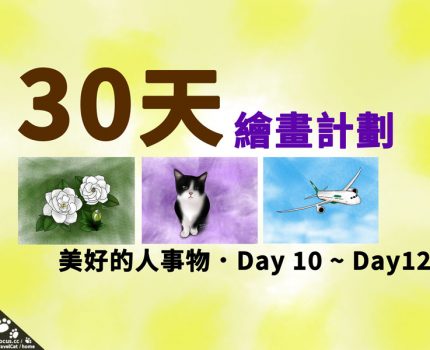 30天繪畫計劃Day10~Day12．梔子花、黑白貓、飛機