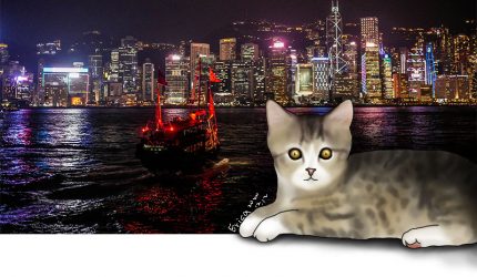 一個人旅行的日子：香港練拍夜景實錄