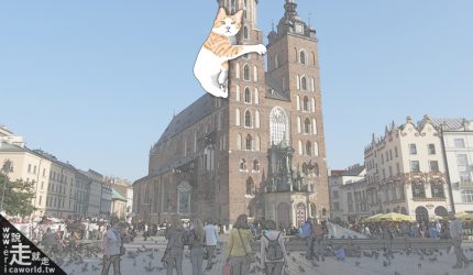 受保護的內容: 〔旅行到波蘭〕跟貓咪去克拉科夫舊城區散散步吧！