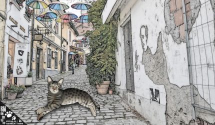 受保護的內容: 〔旅行到匈牙利〕聖安德烈小鎮，貓咪也不思議的喜歡！