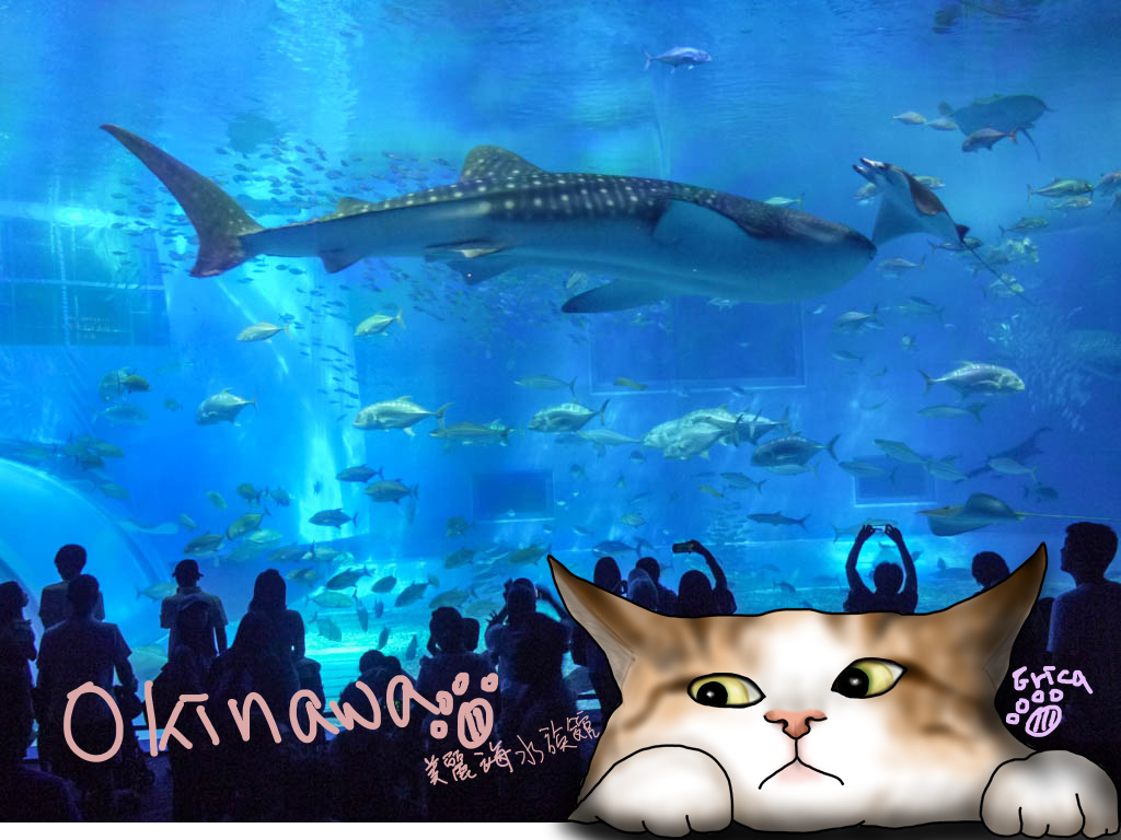 〔旅行到沖繩〕沖繩美麗海水族館〔Writing NFT 版本〕