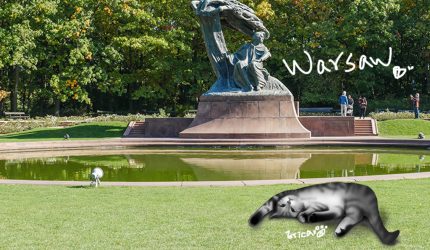 〔旅行到波蘭〕華沙最美公園，瓦津基公園〔Writing NFT 版本〕