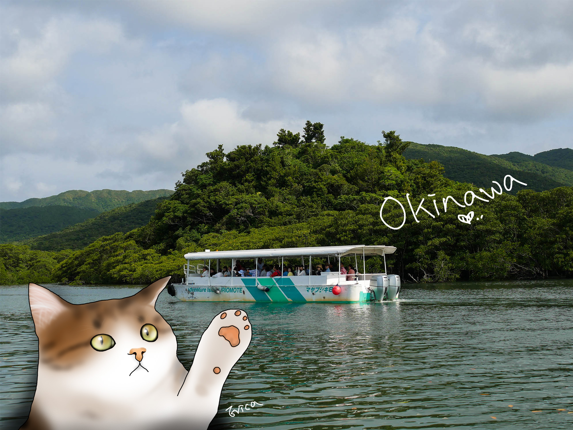 〔旅行到沖繩〕跳島行．西表島布由島一日遊！〔Writing NFT 版本〕