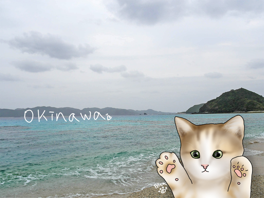 〔旅行到沖繩〕座間味島散步發呆還有狗狗的浪漫故事？〔Writing NFT 版本〕