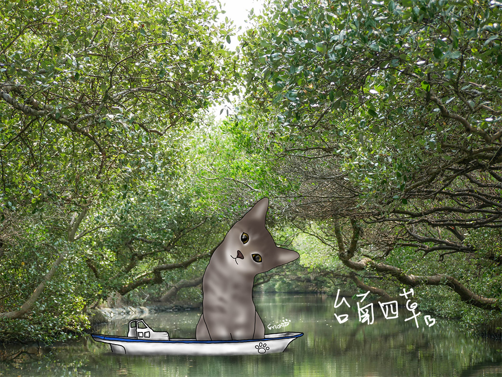 〔旅行到台南〕四草綠色隧道 & 台江國家公園〔Writing NFT 版本〕