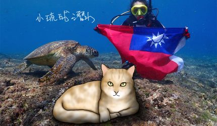 〔旅行到小琉球〕小琉球潛水．跟海龜說聲嗨！〔Writing NFT 版本〕