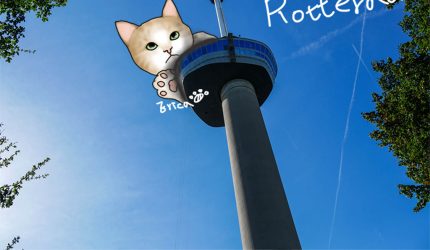 〔旅行到荷蘭〕鹿特丹歐洲之桅，360度電梯觀景臺〔Writing NFT 版本〕