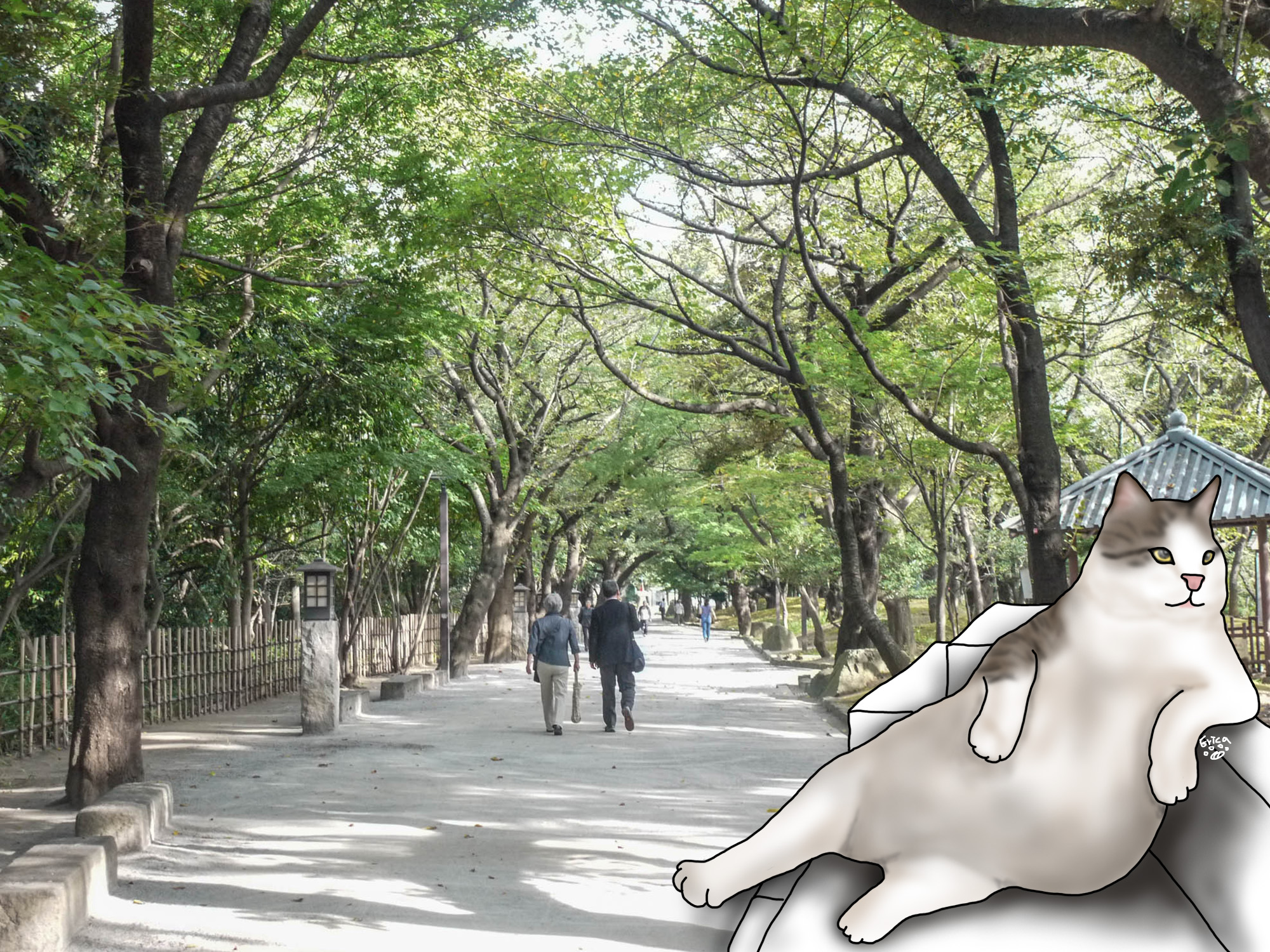 〔旅行到日本〕東京飛鳥山公園，春天賞櫻、初夏紫陽花、秋天有楓紅！〔Writing NFT 版本〕