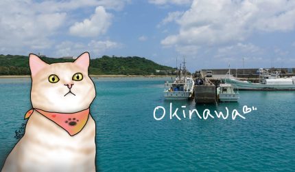 〔旅行到沖繩〕奧武島半日遊．沖繩．陽光、沙灘、貓咪？〔Writing NFT 版本〕