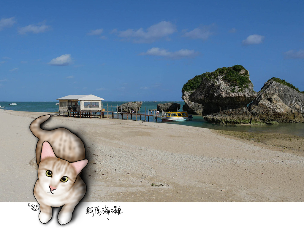 〔旅行到沖繩〕新原海灘．令人驚豔的白色沙灘及蔚藍海景〔Writing NFT 版本〕