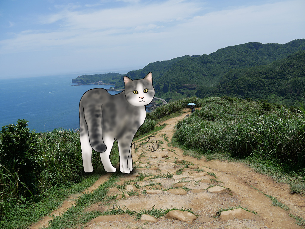 〔台灣走透透．新北〕東北角南子吝無敵海景步道．每月一步道〔Writing NFT 版本〕
