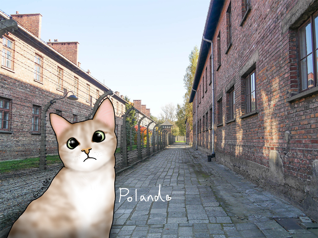 〔旅行到波蘭〕奥斯威辛集中營半日參訪〔Writing NFT 版本〕