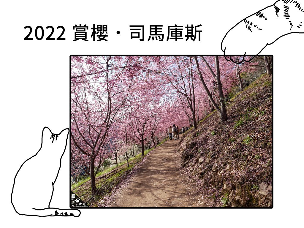〔旅行到新竹〕賞櫻趣．上帝的部落．司馬庫斯〔Writing NFT 版本〕